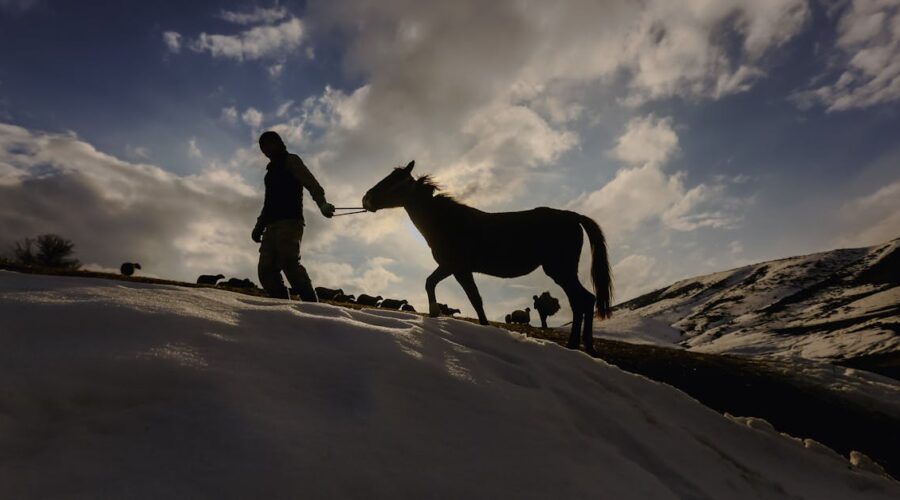 découvrez un monde passionnant d'activités équestres, allant des leçons d'équitation aux randonnées à cheval, en passant par des compétitions et des événements. plongez dans l'univers des chevaux et améliorez vos compétences tout en profitant de la nature.