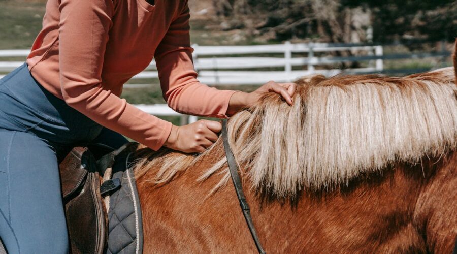 découvrez l'importance de l'équilibre chez le cheval et comment améliorer sa posture et sa performance. apprenez des techniques et des exercices essentiels pour harmoniser le mouvement de votre équidé et favoriser son bien-être.