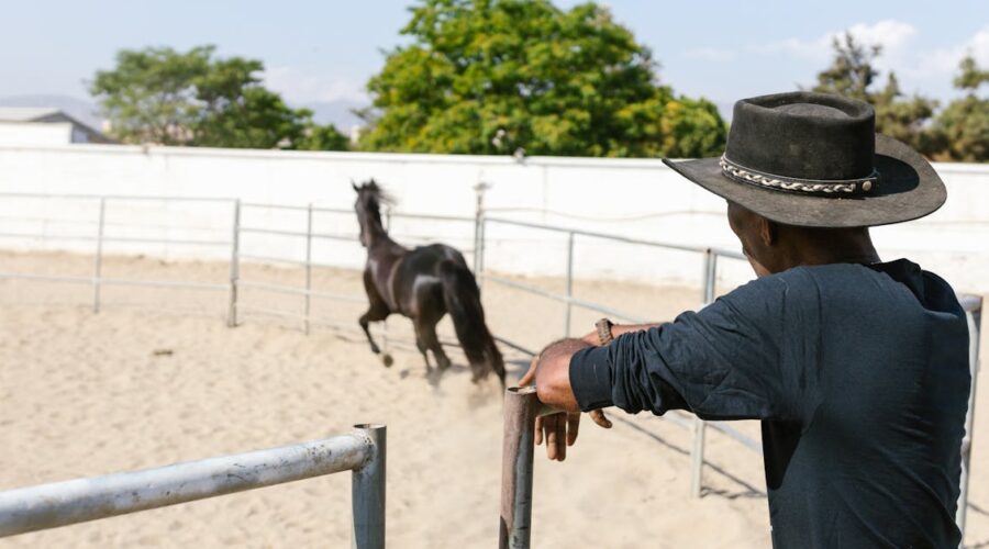 découvrez les meilleures techniques d'éducation équine avec notre guide complet sur l'entraînement des chevaux. apprenez à renforcer la confiance, la communication et la discipline de votre cheval grâce à des méthodes respectueuses et efficaces.