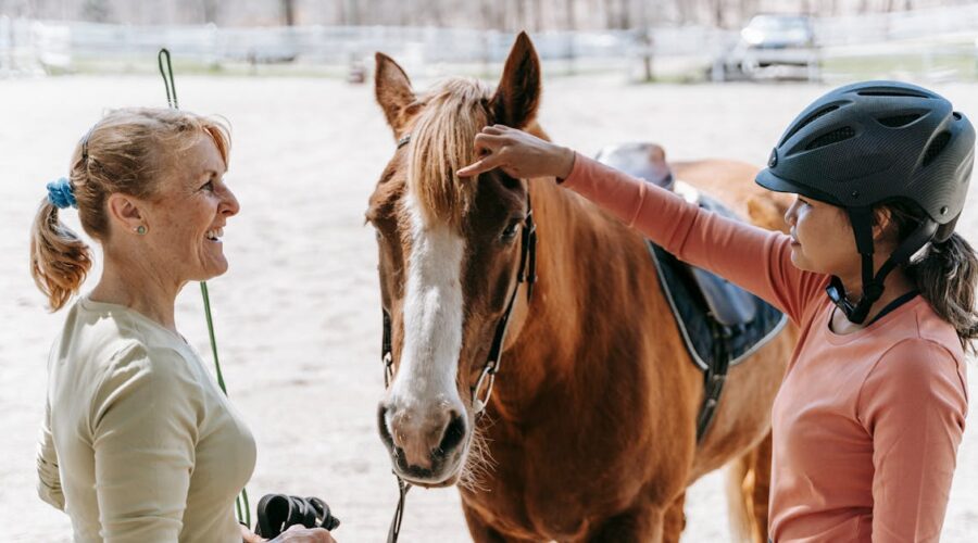 découvrez responsive horse, votre guide complet pour tout savoir sur l'équitation moderne ! explorez des astuces, conseils et équipements adaptés pour améliorer votre expérience équestre en toute harmonie.