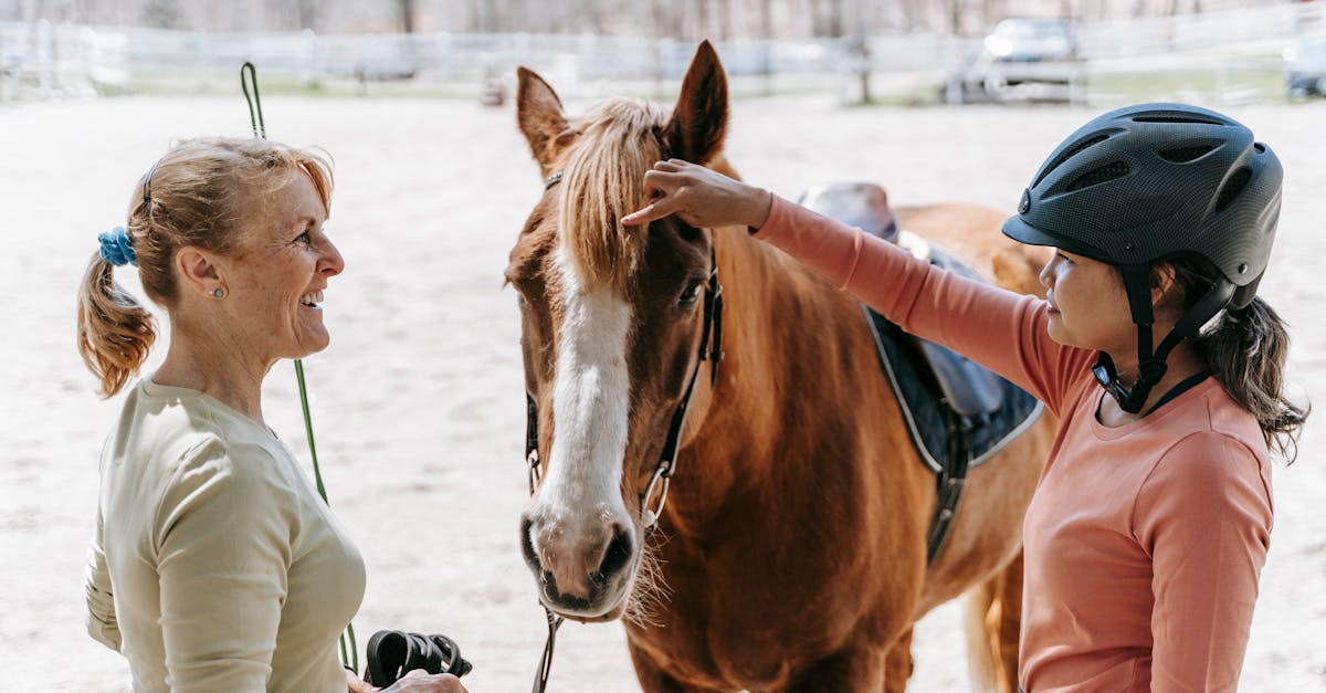 Les secrets pour obtenir un cheval réceptif et énergique