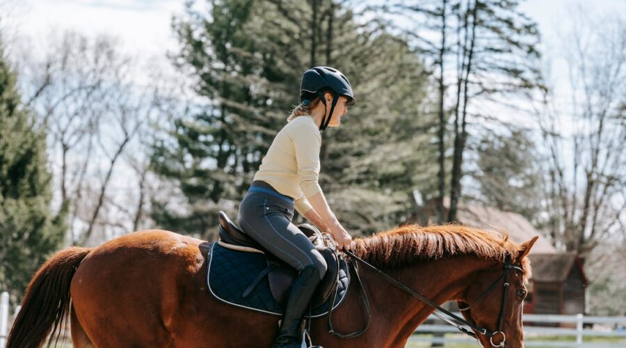 découvrez l'équilibre parfait entre santé et performance pour votre cheval avec nos conseils sur la fitness équine. apprenez des techniques d'entraînement adaptées, des régimes alimentaires sains et des astuces pour améliorer le bien-être général de votre compagnon à quatre pattes.