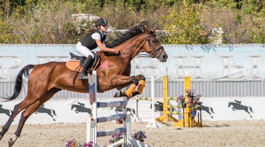 découvrez le monde passionnant du saut d'obstacles équestre, où la grâce et la puissance des chevaux se rencontrent dans des compétitions captivantes. apprenez-en plus sur les techniques, l'équipement et les événements majeurs de cette discipline olympique.
