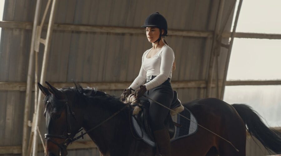 découvrez les meilleures techniques de équitation pour améliorer votre maîtrise à cheval. apprenez des conseils pratiques, des méthodes et des astuces pour optimiser votre expérience de cavalerie, que vous soyez débutant ou cavalier expérimenté.