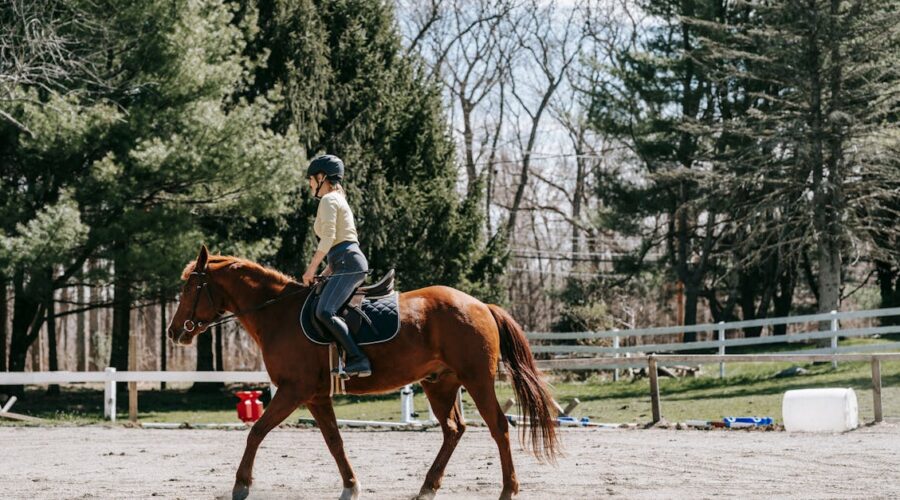 découvrez l'univers passionnant de l'équitation : des conseils pour débutants, des astuces de professionnels, et des informations sur les différents types de chevaux et disciplines équestres. que vous soyez cavalier amateur ou confirmé, retrouvez tout ce qu'il faut savoir pour profiter pleinement de votre passion !