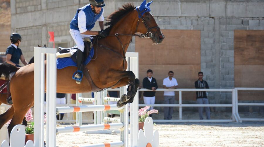 découvrez l'univers captivant du saut d'obstacles, où la maîtrise du cheval et la technique des cavaliers sont mises à l'épreuve. suivez les compétitions, apprenez les astuces des professionnels et plongez dans la passion du showjumping!