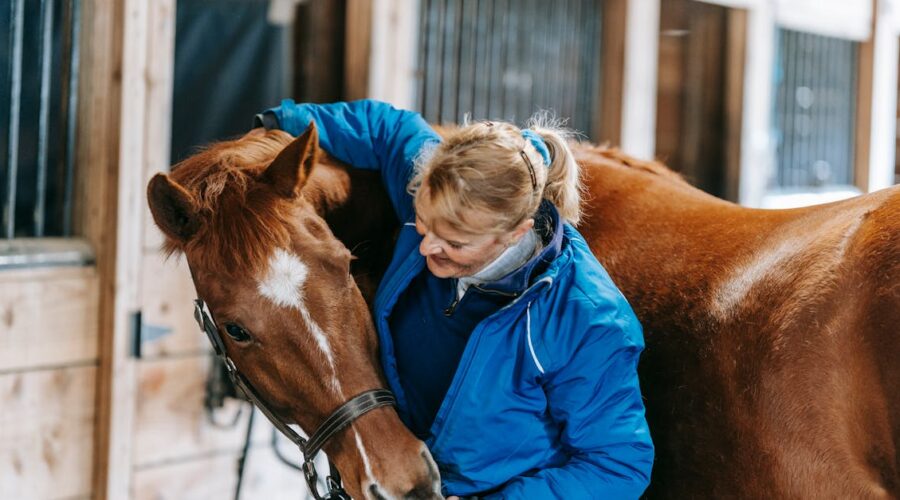 découvrez des techniques efficaces pour le dressage des chevaux, adaptées à tous les niveaux. apprenez à améliorer la communication avec votre monture et à développer ses compétences grâce à des méthodes d'entraînement respectueuses et adaptées.