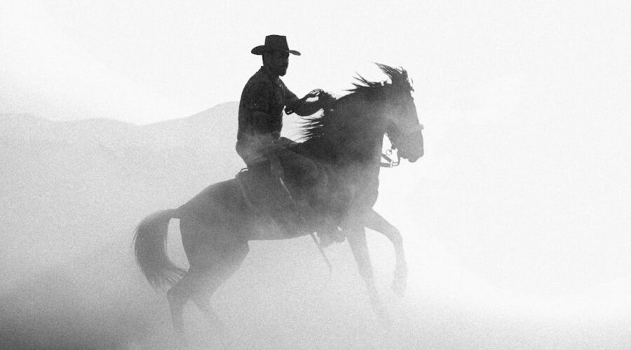découvrez comment maîtriser les transitions de galop pour une équitation fluide et harmonieuse. améliorez votre technique, augmentez la confiance de votre cheval et perfectionnez vos performances avec nos conseils d'experts.