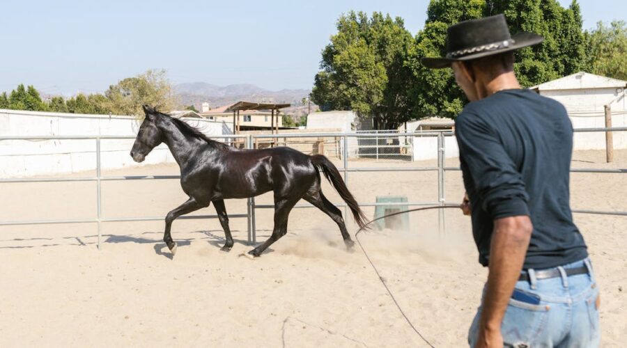 découvrez l'art du ferrage des chevaux, une pratique essentielle pour le bien-être équin. apprenez les techniques, les outils et l'importance du ferrage pour maintenir la santé des sabots de votre cheval.
