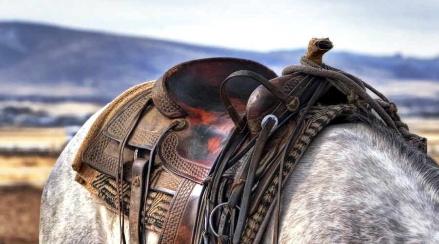 découvrez notre sélection de selles de haute qualité pour équiper votre cheval. confort,performance et style s'allient pour vous offrir une expérience équestre inégalée.