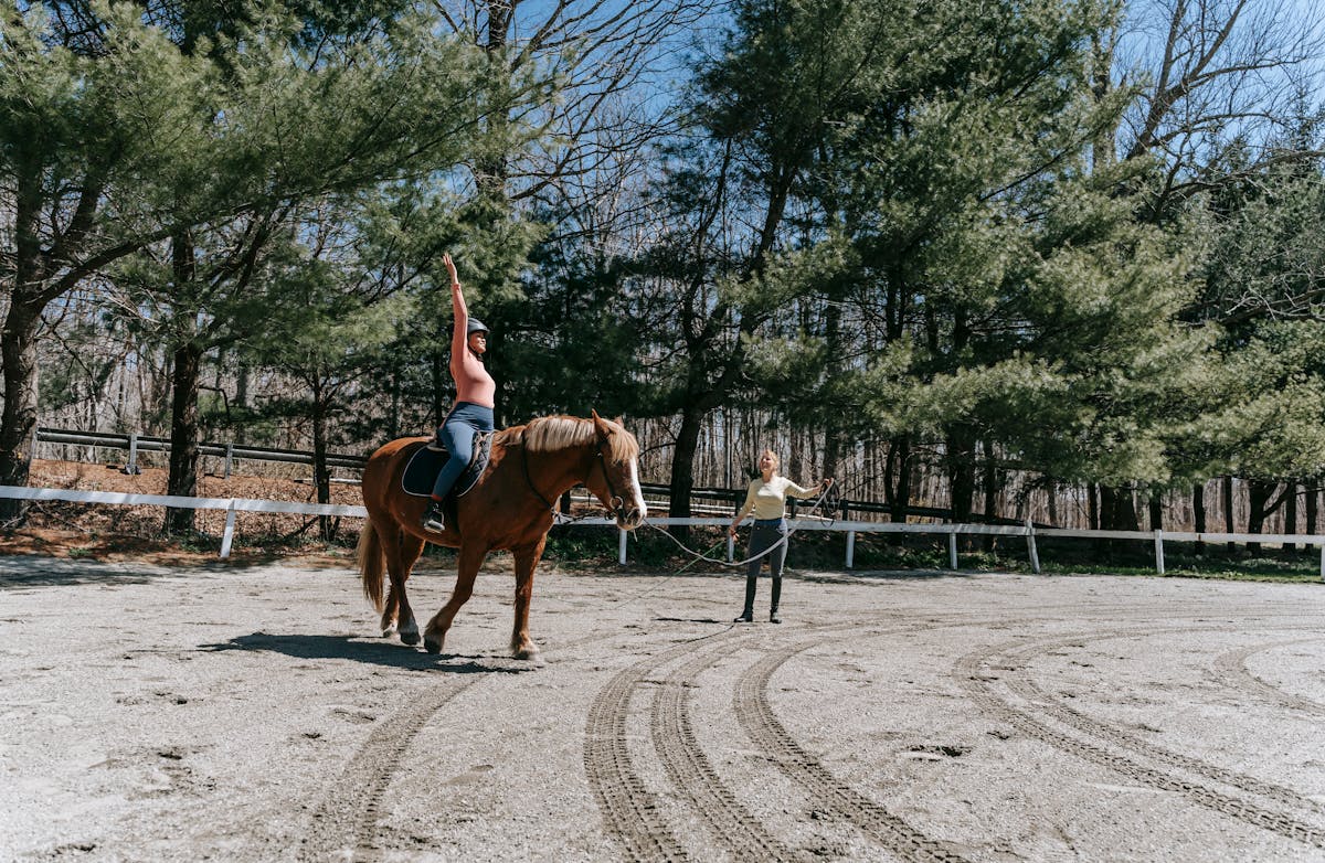 5 conseils pour remettre mon cheval au travail - Be Cheval Liberté