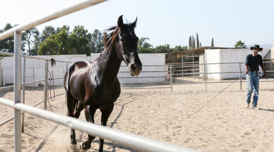 cheval pousser arrière