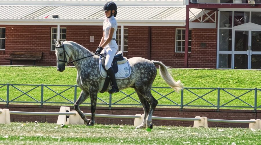 découvrez notre sélection de tapis de selle de qualité supérieure, conçus pour le confort de votre cheval et l'amélioration de vos performances équestres. polyvalents et stylés, nos tapis de selle conviennent à tous les types de montures et de disciplines. parcourez notre collection pour trouver le modèle idéal qui allie confort, protection et esthétique.