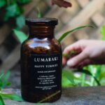 découvrez les meilleures herbes digestives pour soulager les troubles digestifs, améliorer la digestion naturellement et préserver votre bien-être au quotidien. conseils et bienfaits des plantes pour votre santé digestive.