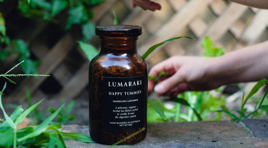 découvrez les meilleures herbes digestives pour soulager les troubles digestifs, améliorer la digestion naturellement et préserver votre bien-être au quotidien. conseils et bienfaits des plantes pour votre santé digestive.