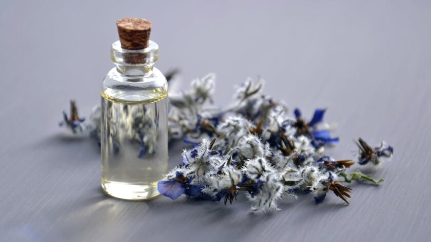 découvrez l’aromathérapie, une méthode naturelle utilisant les huiles essentielles pour améliorer le bien-être, soulager le stress et favoriser la relaxation au quotidien.