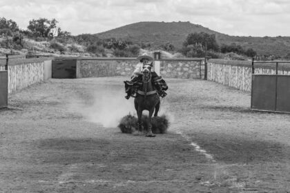 découvrez tout ce qu’il faut savoir sur l’équine : conseils d’experts, santé, soins, alimentation et actualités pour passionnés de chevaux et professionnels du secteur équestre.