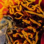 découvrez tout sur le forage : techniques, équipements, conseils pratiques et innovations pour réussir vos projets de creusement de puits ou d'exploration géologique.