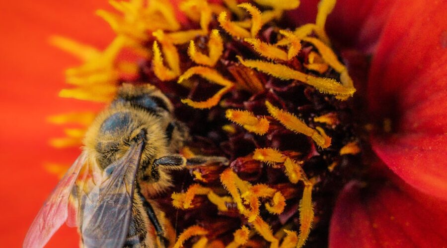 découvrez tout sur le forage : techniques, équipements, conseils pratiques et innovations pour réussir vos projets de creusement de puits ou d'exploration géologique.