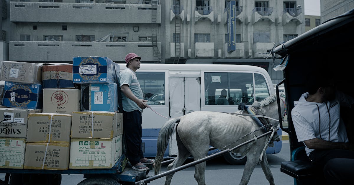 découvrez comment ajuster correctement un horse collar pour garantir le confort et la sécurité de votre cheval grâce à nos conseils pratiques et simples à appliquer.