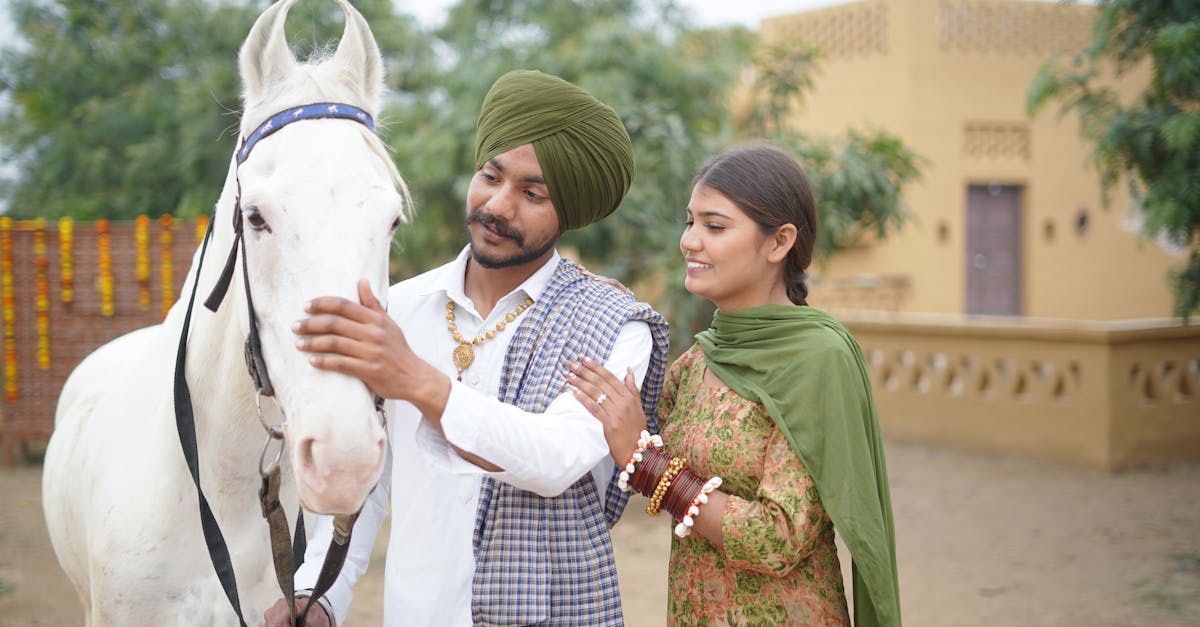 découvrez tout sur le squelette du cheval : composition osseuse, fonctions des principaux os et importance pour la santé équine. guide clair pour passionnés et étudiants en anatomie animale.