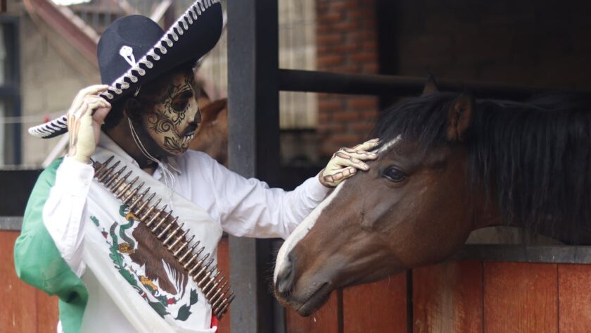 découvrez la structure et les principales caractéristiques du squelette de cheval, ses os, ses fonctions et son rôle essentiel dans l’anatomie équine.