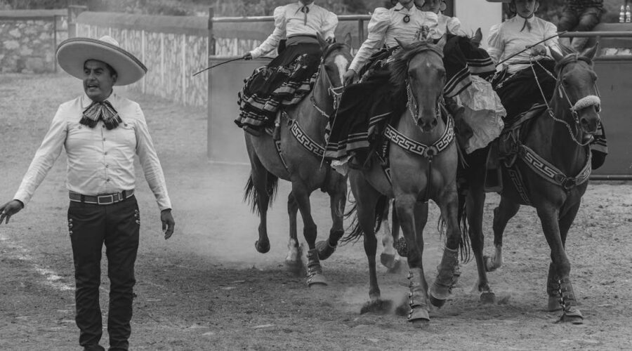 découvrez le horsemanship, l'art de comprendre, d'éduquer et de travailler en harmonie avec le cheval. nos conseils et techniques pour améliorer la relation homme-cheval et progresser en confiance et respect mutuels.