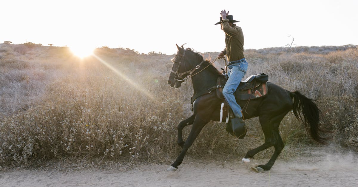 découvrez tout ce qu'il faut savoir sur la selle western : caractéristiques, avantages, conseils d'entretien et astuces pour choisir la selle idéale pour le confort du cavalier et du cheval.