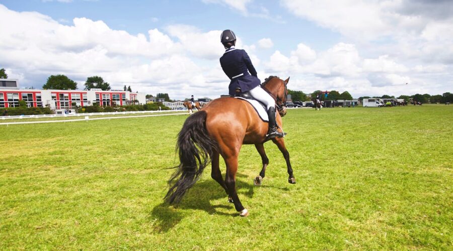 découvrez l'univers équestre : actualités, conseils pratiques, disciplines, soins des chevaux et astuces pour cavaliers débutants et confirmés. plongez dans la passion du cheval !
