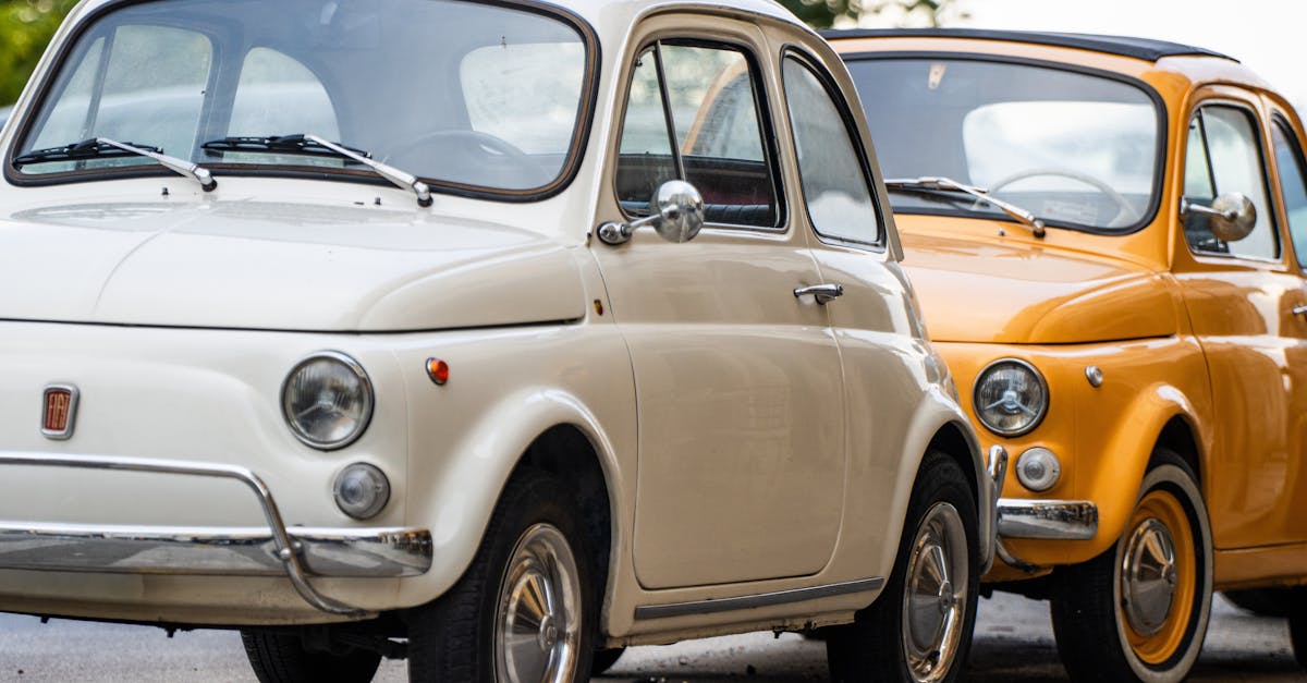 découvrez une sélection unique de noms pour poulains 2025, parfaits pour nommer votre jeune cheval avec style et originalité.