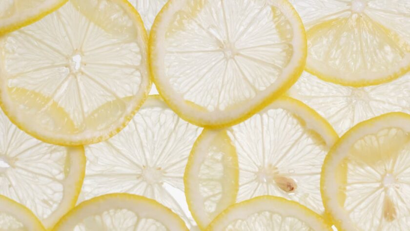 découvrez la pulpe de betterave, un aliment riche en fibres utilisé comme complément nutritif pour le bétail, favorisant une meilleure digestion et une alimentation saine.