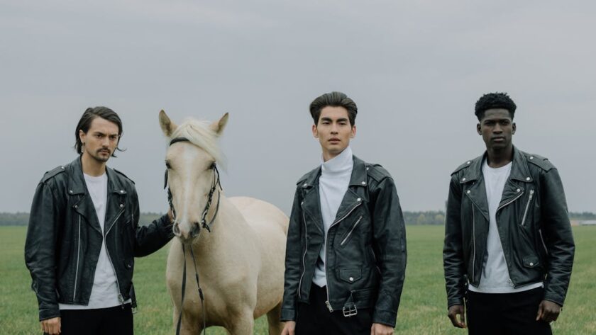 découvrez tout sur le cheval de trait noir, une race puissante et élégante reconnue pour sa force et son tempérament calme. parfait pour le travail agricole et les loisirs équestres.