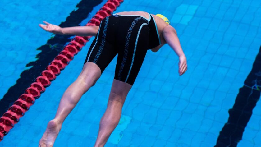 formation de maréchal-ferrant : devenez expert en soins et ferrage des chevaux grâce à une formation complète et professionnelle.