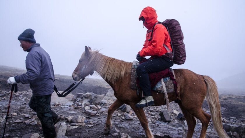 découvrez notre guide complet de randonnée pour explorer les meilleurs sentiers, conseils pratiques, et équipements essentiels afin de profiter pleinement de vos aventures en pleine nature.