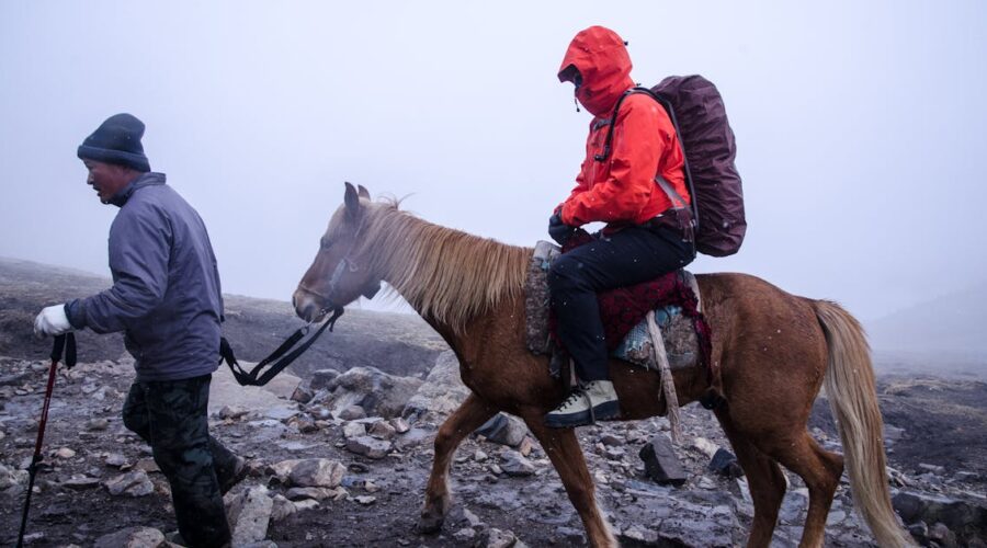 découvrez notre guide complet de randonnée pour explorer les meilleurs sentiers, conseils pratiques, et équipements essentiels afin de profiter pleinement de vos aventures en pleine nature.