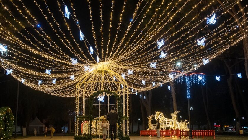 découvrez l'ancêtre du cheval, une espèce qui a marqué l'évolution des équidés et révèle l'histoire fascinante de ces majestueux animaux.