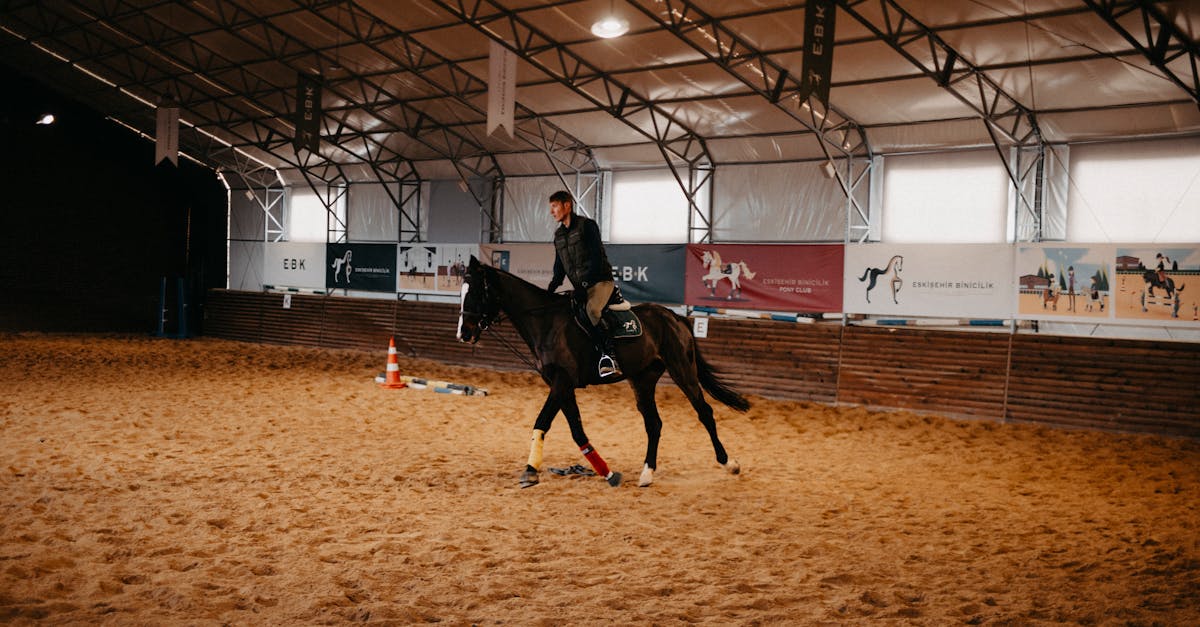 découvrez tout sur les lettres d'arène de dressage, leur signification et leur disposition pour améliorer vos entraînements équestres.