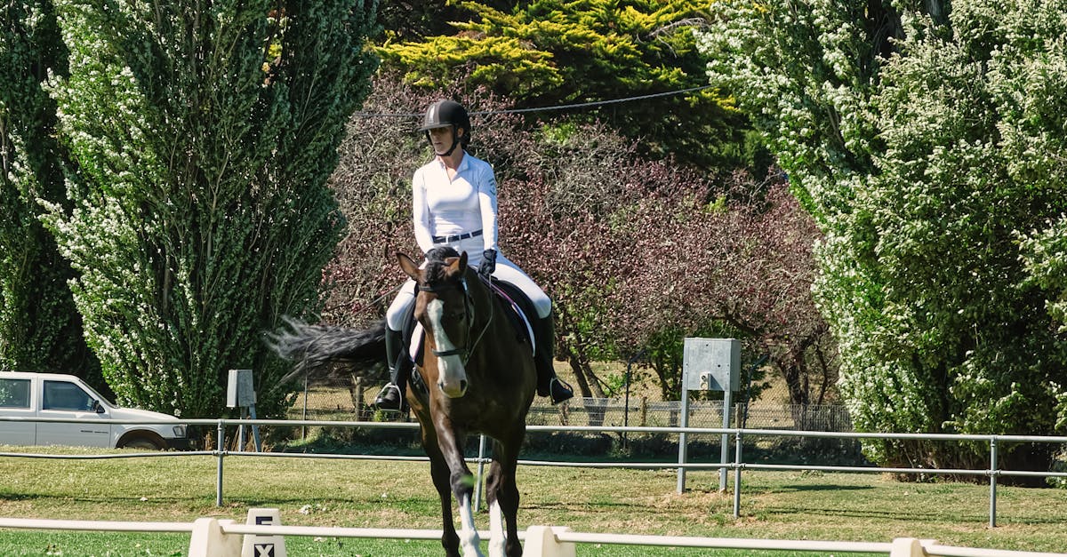 découvrez tout sur les lettres des arènes de dressage : leur signification, leur disposition et comment elles sont utilisées pour les compétitions équestres.
