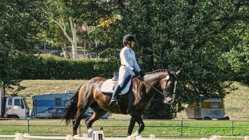 découvrez notre guide complet sur les lettres des carrières de dressage, essentielles pour l'entraînement et les compétitions équestres. maîtrisez chaque position pour améliorer vos performances.