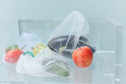 découvrez des habitudes éco-responsables simples pour protéger la planète au quotidien et réduire votre impact environnemental.