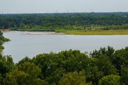 découvrez le mérens, un cheval robuste et élégant originaire des pyrénées, idéal pour l'équitation de loisir et le travail en montagne.