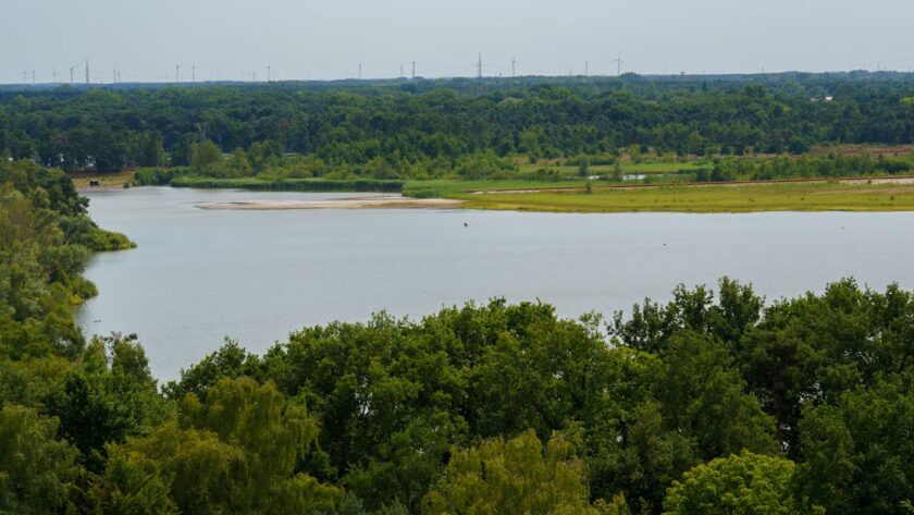 découvrez le mérens, un cheval robuste et élégant originaire des pyrénées, idéal pour l'équitation de loisir et le travail en montagne.