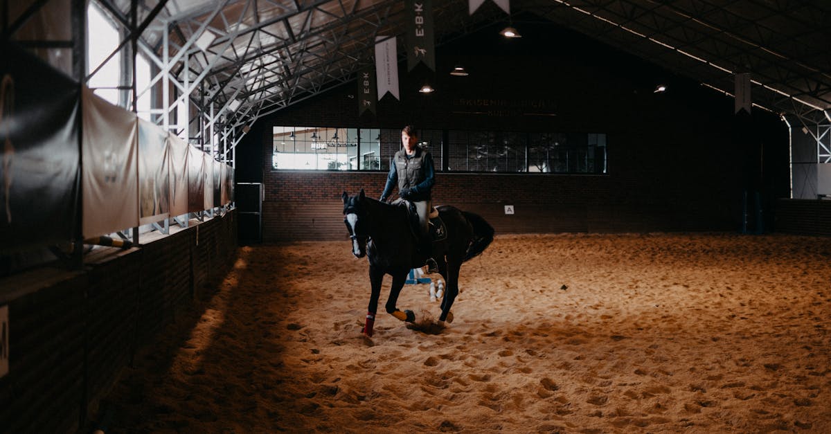 découvrez notre collection de lettres pour arènes équestres, parfaites pour l'entraînement et les compétitions de dressage. améliorez votre expérience équestre avec nos lettres durables et visibles.