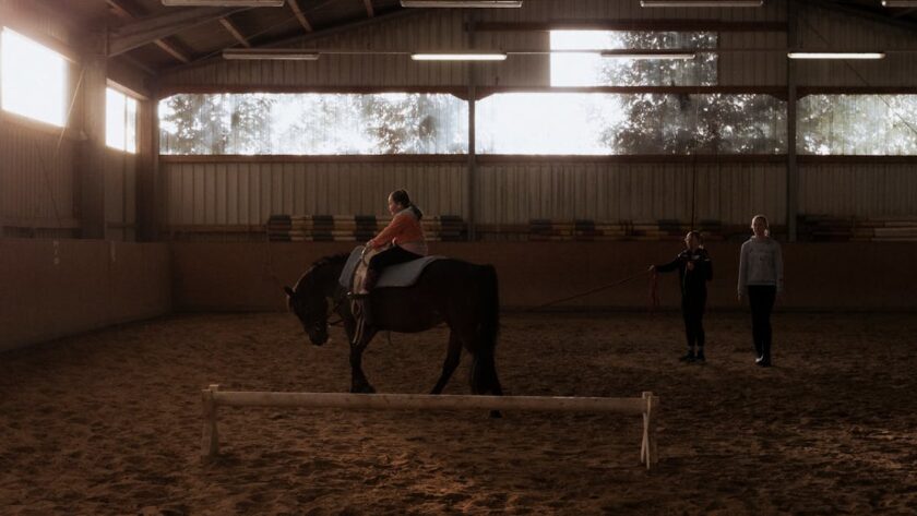 découvrez l'importance des lettres d'arène d'équitation pour structurer et améliorer vos entraînements équestres dans une carrière de dressage.