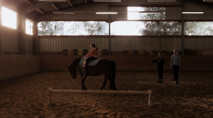 découvrez l'importance des lettres d'arène d'équitation pour structurer et améliorer vos entraînements équestres dans une carrière de dressage.