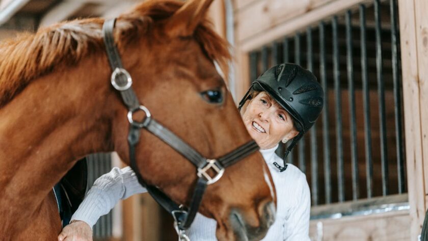 découvrez tout sur le pelage alezan du cheval : caractéristiques, entretien et conseils pour sublimer votre cheval au pelage châtain.