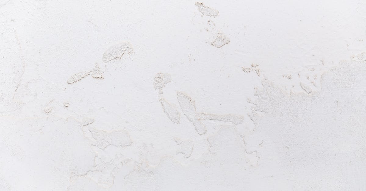 découvrez le terme 'pangaré' : une particularité du pelage chez les chevaux caractérisée par des poils plus clairs sur certaines zones. apprenez-en plus sur cette caractéristique unique et son origine.