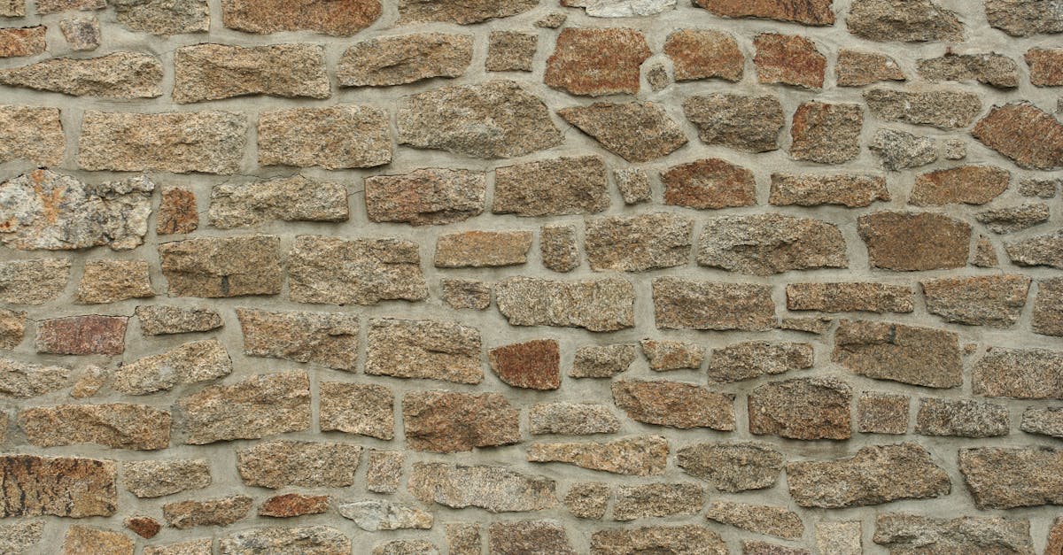 découvrez le terme « pangaré » et son utilisation dans le monde équin pour décrire un pelage caractéristique aux zones éclaircies, souvent observé chez certains chevaux.