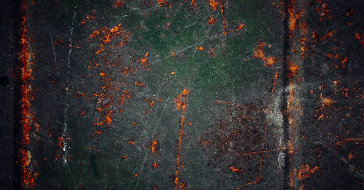 découvrez le terme pangaré, utilisé en équitation pour décrire un pelage avec des poils plus clairs sur certaines parties du corps, caractéristique fréquente chez les chevaux.