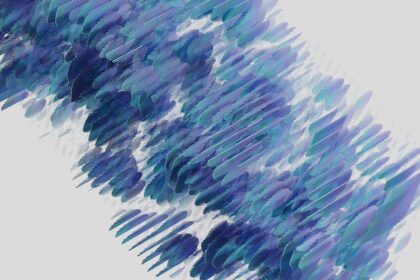 découvrez la signification et l'origine du terme 'pangaré', utilisé pour décrire une robe de cheval caractérisée par des poils clairsemés sur le ventre et autour des yeux.